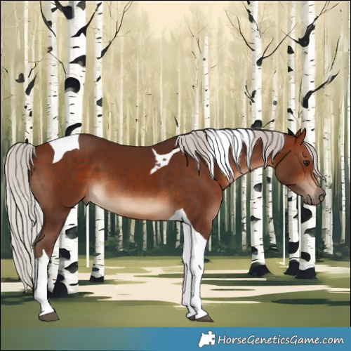 Horse Color:Silver Bay Tobiano 