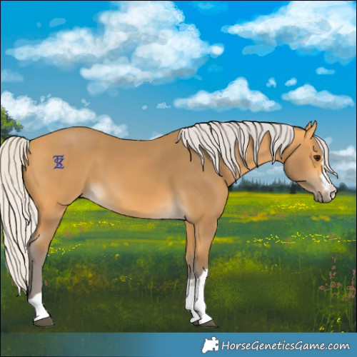 Horse Color:Silver Buckskin