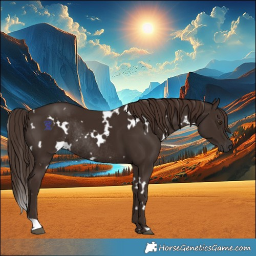Horse Color:White Spotted Liver Chestnut Rabicano 