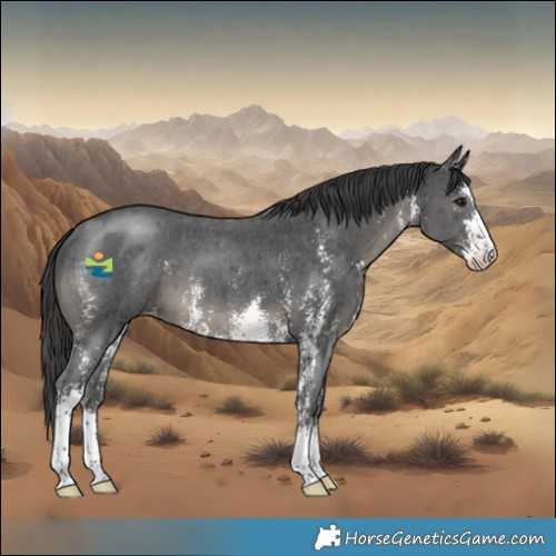 Horse Color:Black Sabino Appaloosa