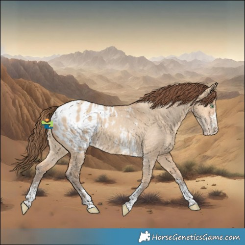 Horse Color:Amber Champagne Dun Sabino Blanket