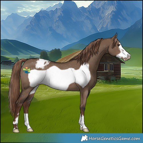 Horse Color:Liver Red Dun Frame Varnish Rabicano