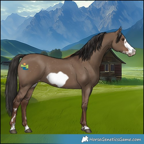 Horse Color:Liver Red Dun Frame Varnish Rabicano