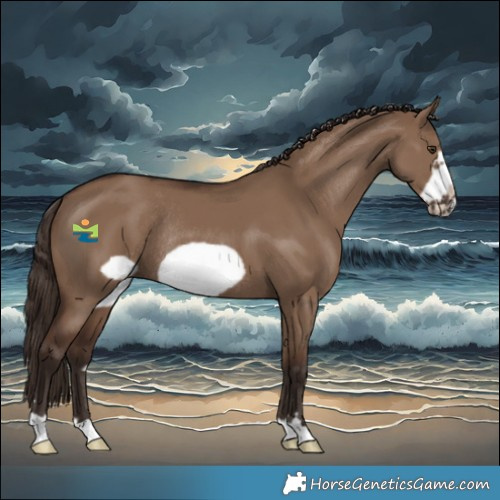 Horse Color:Liver Red Dun Frame Rabicano