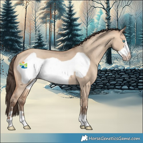 Horse Color:Amber Champagne Dun Frame Rabicano 