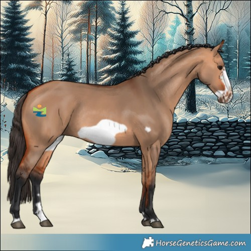Horse Color:Bay Dun Frame Rabicano