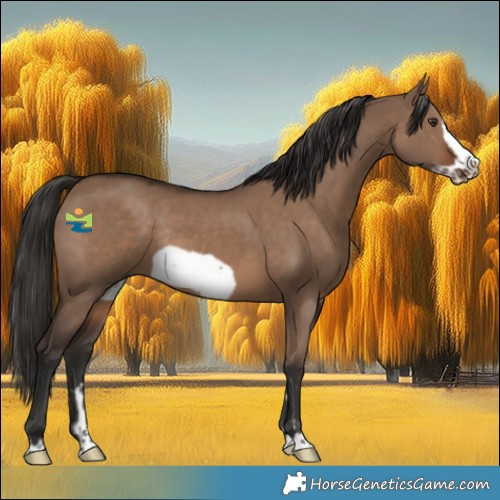 Horse Color:Liver Red Dun Frame Rabicano