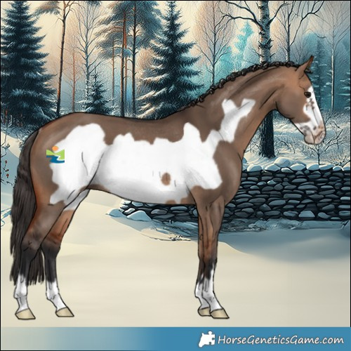 Horse Color:Bay Dun Frame Rabicano