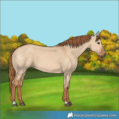 Horse Color:Red Dun