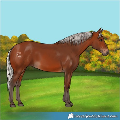 Horse Color:Silver Brown