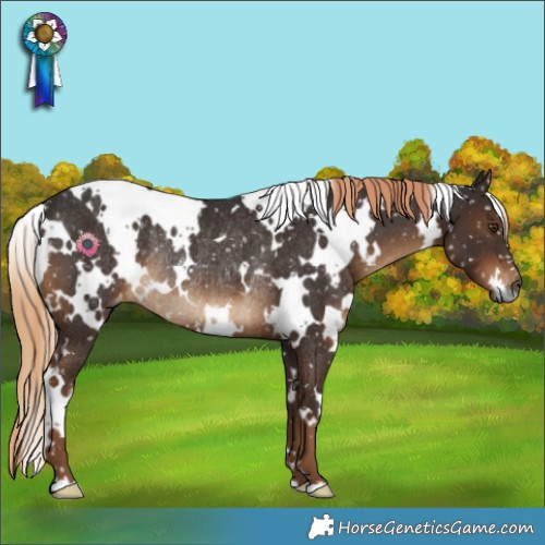 Horse Color:Gray White Spotted Liver Chestnut Snowflake Varnish Rabicano