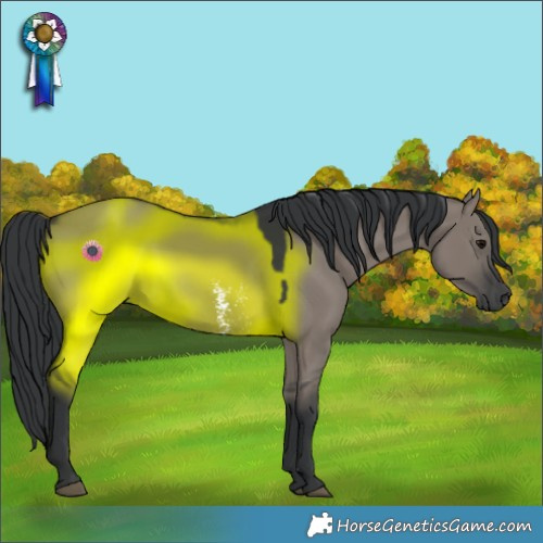 Horse Color:Grullo Sabino Rabicano