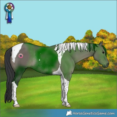 Horse Color:Grullo Tobiano Rabicano