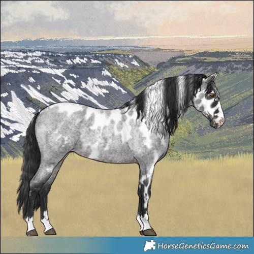 Horse Color:Brown Roan Skewed LP Spotted 
