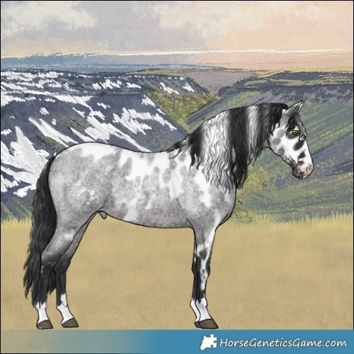 Horse Color:Brown Roan Skewed LP Spotted 