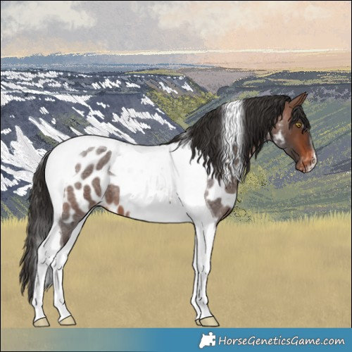 Horse Color:Brown Roan Tobiano Skewed LP Spotted 