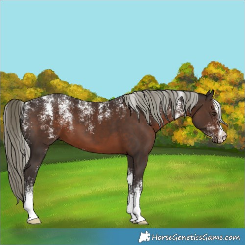 Horse Color:Powder White Liver Chestnut Mushroom