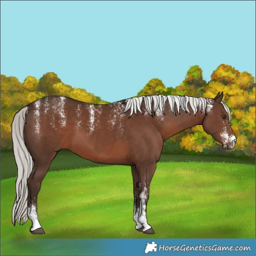Horse Color:Powder White Liver Chestnut Mushroom 