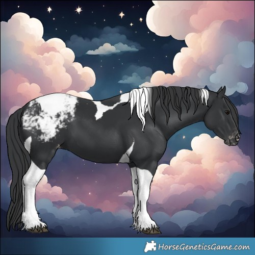 Horse Color:Black Tobiano Snowcap