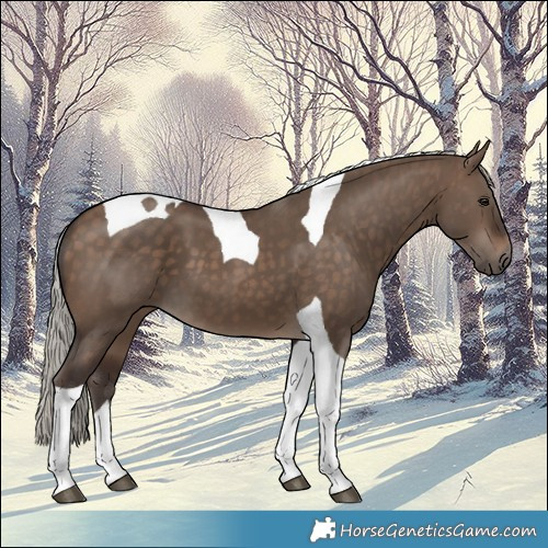 Horse Color:Silver Brown Dun Tobiano