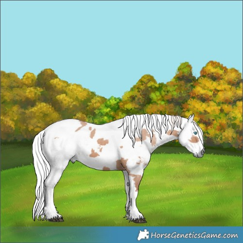 Horse Color:Silver Brown Dun Harlequin Merle Sabino Tobiano Rabicano