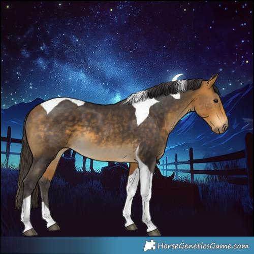 Horse Color:Buckskin Tobiano 