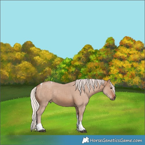 Horse Color:Silver Brown Dun Tobiano Rabicano 