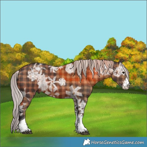 Horse Color:Plaid Silver Brown Ice Sabino Tobiano