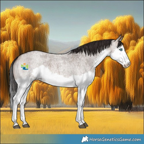 Horse Color:Brown Roan Dun Splash Rabicano 