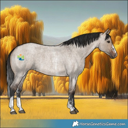 Horse Color:Brown Roan Dun Sabino