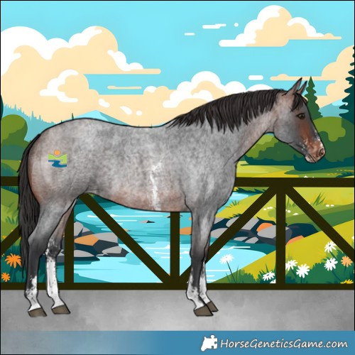 Horse Color:Brown Roan Sabino Varnish Rabicano 