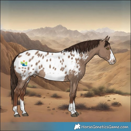 Horse Color:Liver Red Dun Frame Blanket Rabicano 