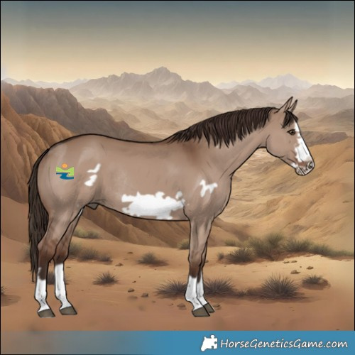 Horse Color:Liver Red Dun Frame Rabicano 