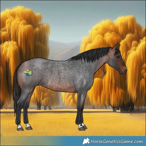 Horse Color:Bay Roan