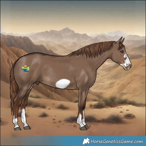 Horse Color:Liver Red Dun Frame Rabicano