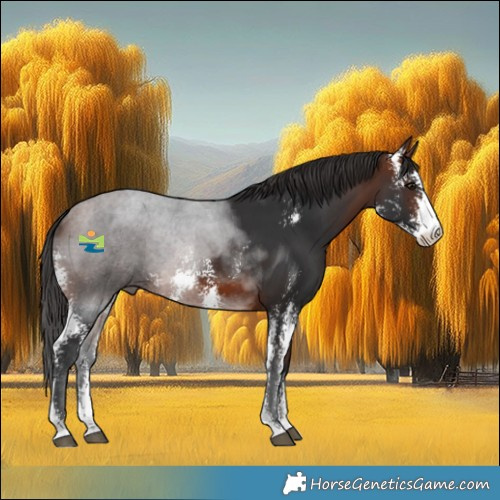 Horse Color:Bay Sabino Rabicano 