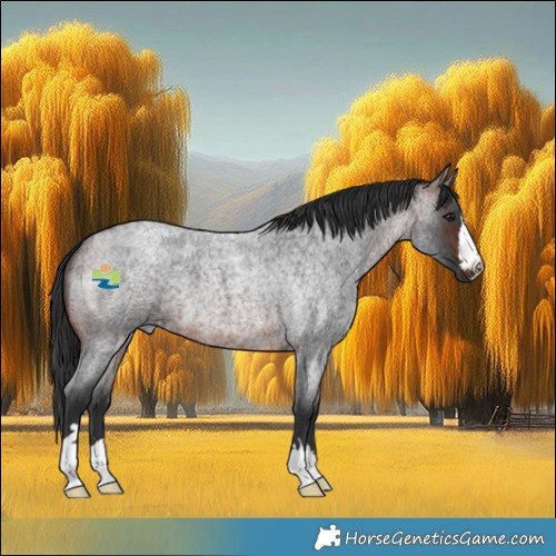 Horse Color:Brown Roan