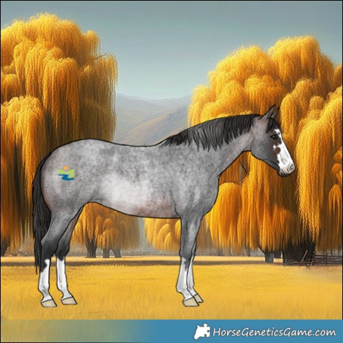 Horse Color:Brown Roan