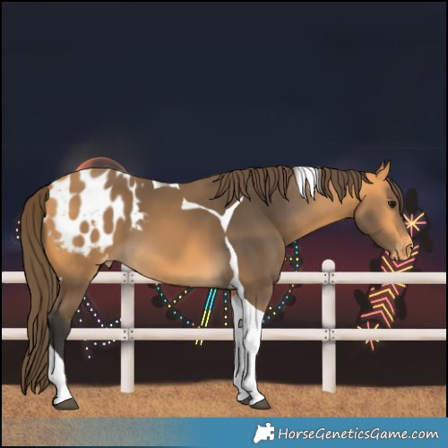 Horse Color:Buckskin Tobiano Blanket 