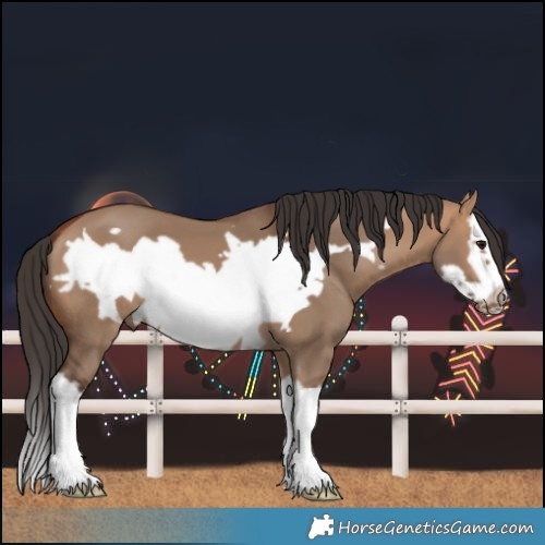 Horse Color:Bay Dun Splash Frame 