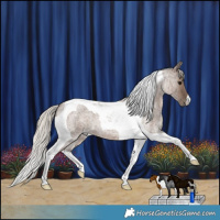 Horse Color:Silver Blue Roan Tobiano