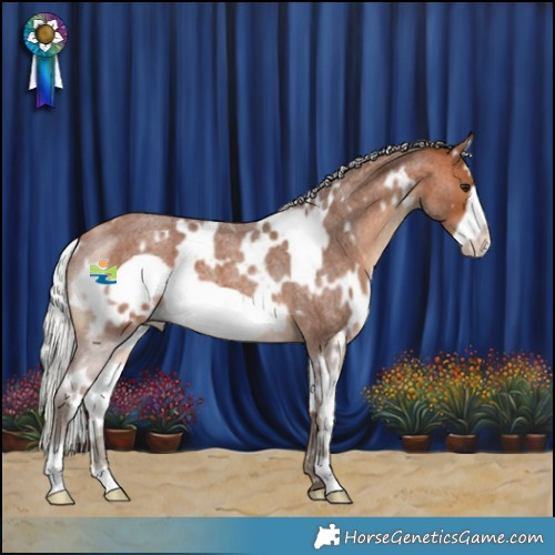 Horse Color:White Spotted Silver Bay Roan Frame 