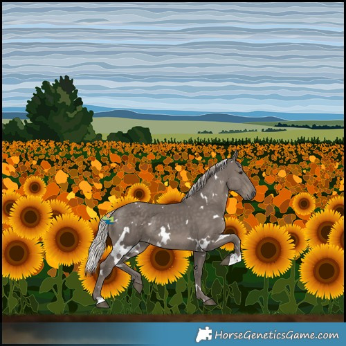 Horse Color:White Spotted Silver Black