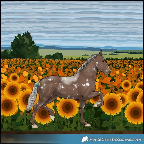 Horse Color:White Spotted Silver Black Skewed LP Spotted