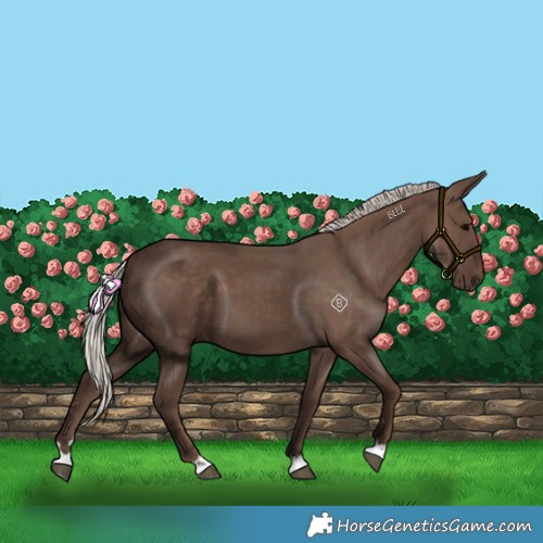 Horse Color:Silver Black