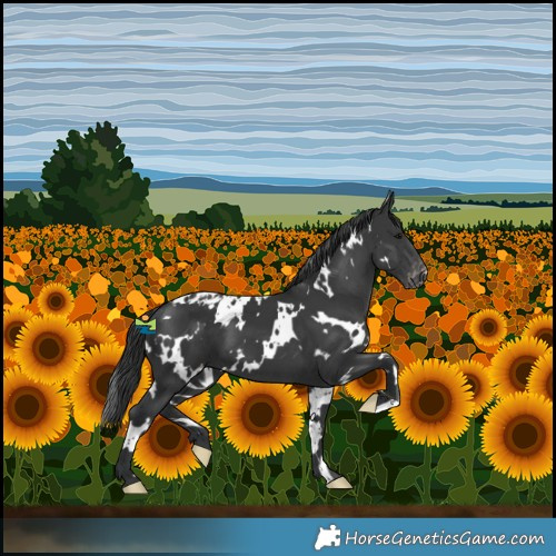 Horse Color:White Spotted Black Skewed LP Spotted 