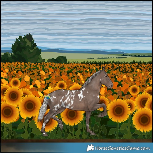 Horse Color:White Spotted Silver Black Skewed LP Spotted