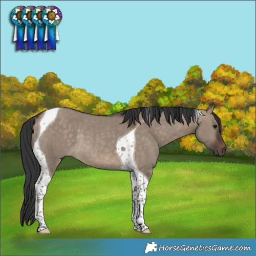 Horse Color:Brown Dun Tobiano Rabicano