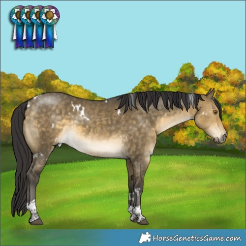 Horse Color:White Spotted Buckskin Dun Tobiano