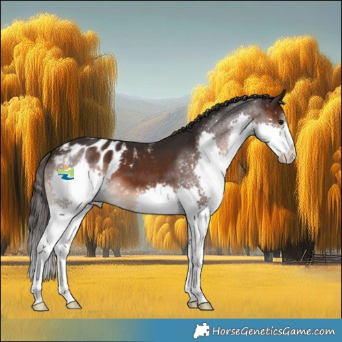 Horse Color:Brown Splash Blanket 